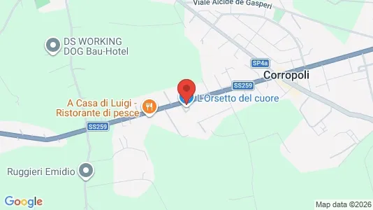 Commercial properties for rent i Corropoli - kort over placeringen
