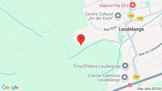 Commercial properties for sale i Leudelange - Photo from Google Street View