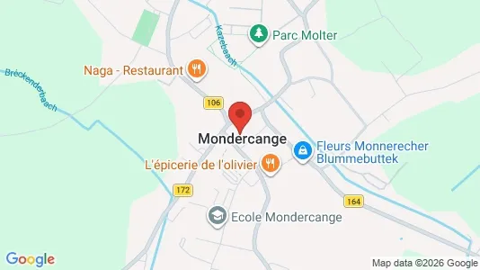 Commercial properties for sale i Mondercange - kort over placeringen