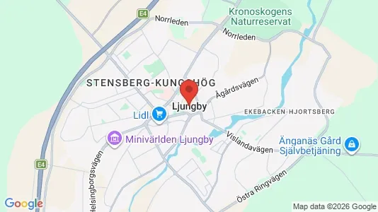 Lokaler til leie i Ljungby – Bilde fra Google Street View