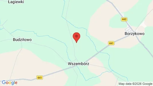 Lokaler til leje i Wrzesiński - Foto fra Google Street View
