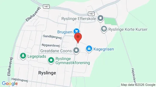 Lokaler til leje i Ryslinge - Foto fra Google Street View