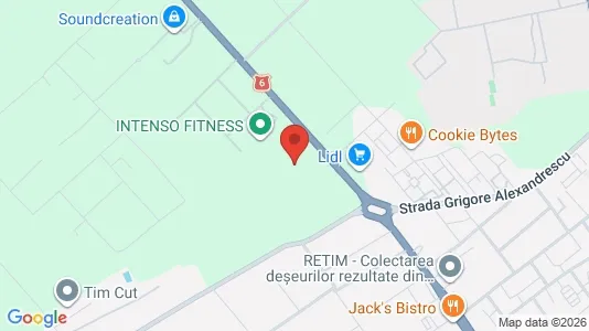Industrial properties for rent i Timişoara - kort over placeringen