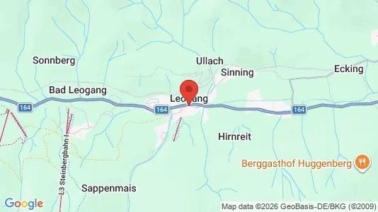 Gewerbeflächen zum Kauf i Leogang - kort over placeringen