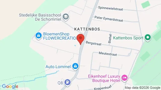 Liikekiinteistöt Vuokrattavana i Lommel - Kuva Google Street Viewstä