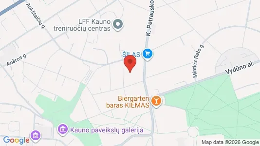 Toimistotilat Vuokrattavana i Kaunas - Kuva Google Street Viewstä