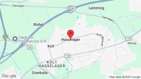 Shops for rent i Hasselager - Photo from Google Street View