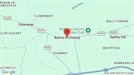 Gewerbeimmobilien zur Miete, Borris-in-Ossory, Laois, Shanboe