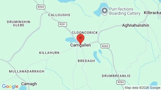 Grond te huur i Carrigallen - Foto uit Google Street View