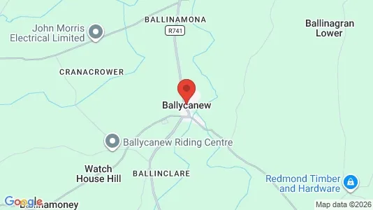 Gewerbeflächen zur Miete i Ballycanew – Foto von Google Street View