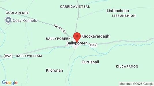 Lokaler til leie i Ballyporeen – Bilde fra Google Street View
