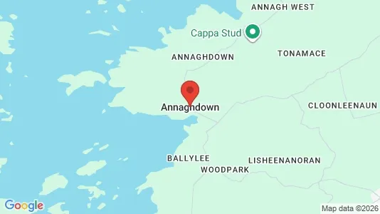 Gewerbeflächen zur Miete i Annaghdown – Foto von Google Street View