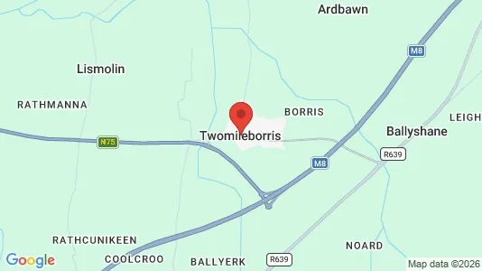Lokaler til leje i Two Mile Borris - Foto fra Google Street View