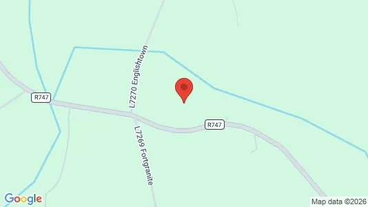 Commercial properties for rent i Baltinglass - kort over placeringen