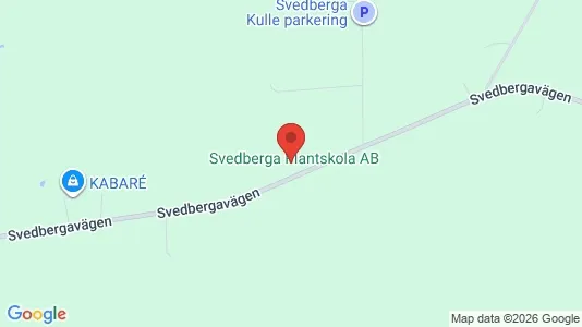 Företagslokaler till salu i Helsingborg – Foto från Google Street View