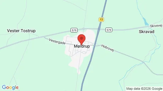 Propiedades comerciales En venta i Møldrup - Foto de Google Street View