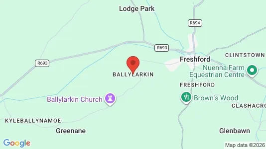 Commercial properties for rent i Ballylarkin - Photo from Google Street View