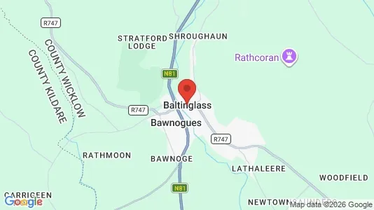 Liikekiinteistöt Vuokrattavana i Baltinglass - kort over placeringen