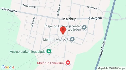 Propiedades comerciales En venta i Møldrup - Foto de Google Street View