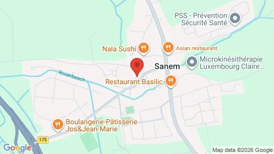 Nieruchomości komercyjne Na sprzedaż i Sanem - kort over placeringen