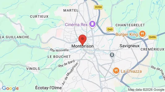 Propiedades comerciales En venta i Montbrison - kort over placeringen