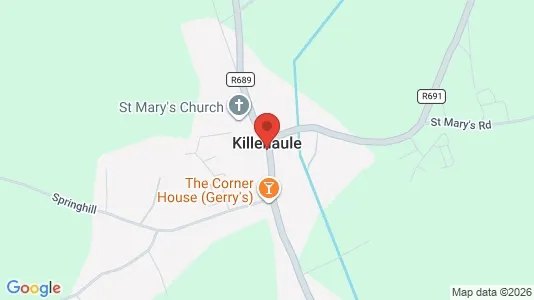 Commercial properties for rent i Thurles - kort over placeringen