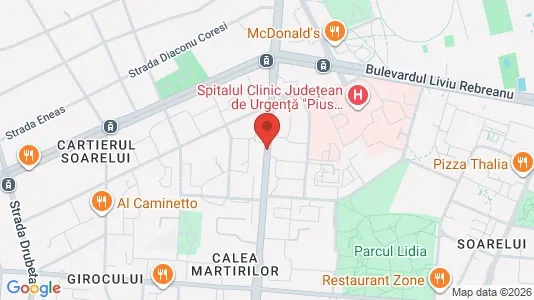 Commercial properties for rent i Timişoara - kort over placeringen