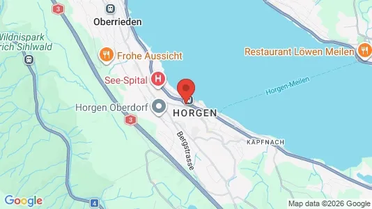 Værkstedslokaler til leje i Horgen - kort over placeringen