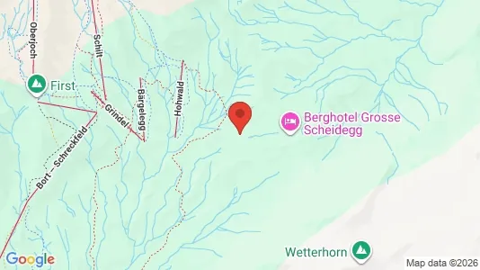 Commercial properties for sale i Interlaken-Oberhasli - Photo from Google Street View