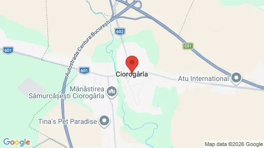 Liikekiinteistöt Myynnissä i Ciorogârla - Kuva Google Street Viewstä