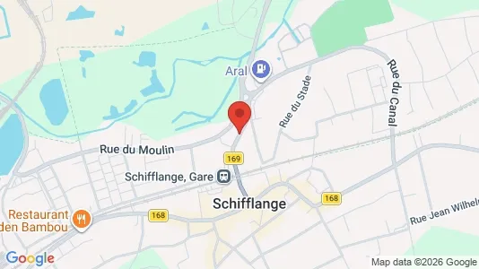 Commercial properties for sale i Schifflange - kort over placeringen
