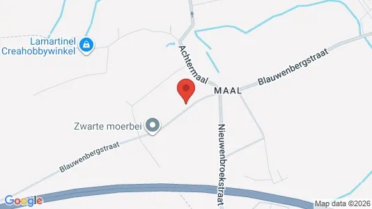 Lokaler til salg i Aalst - Foto fra Google Street View