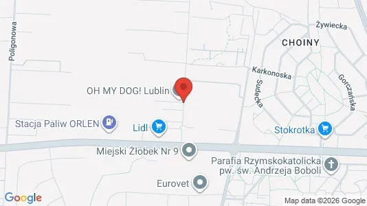 Lokale biurowe Do wynajęcia i Lublin - kort over placeringen
