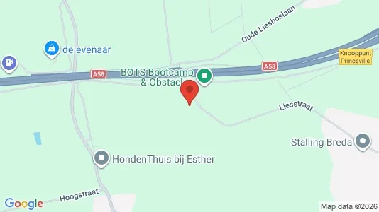 Espacios de oficina En alquiler i Breda - kort over placeringen