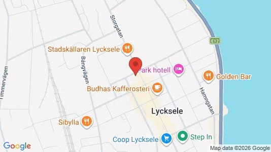 Bedrijfsruimtes te huur i Lycksele - kort over placeringen
