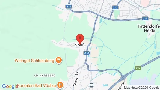 Værkstedslokaler til leje i Sooß - Foto fra Google Street View