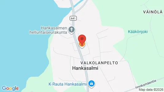 Commercial properties for sale i Hankasalmi - Photo from Google Street View