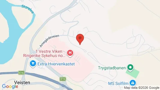 Nieruchomości mieszkaniowe Na sprzedaż i Ringerike - kort over placeringen