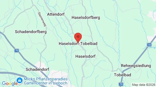 Office spaces for rent i Haselsdorf-Tobelbad - kort over placeringen
