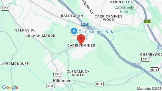 Nieruchomości komercyjne Do wynajęcia i Carrickmines - kort over placeringen