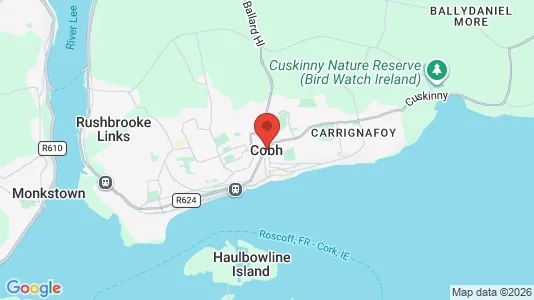 Gewerbeflächen zur Miete i Cobh – Foto von Google Street View