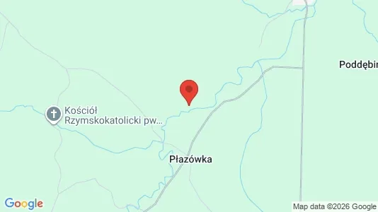 Lokaler til leje i Kolbuszowski - Foto fra Google Street View