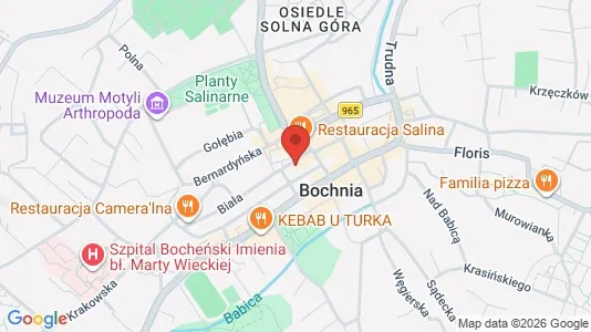 Lokale biurowe Do wynajęcia i Bocheński - kort over placeringen
