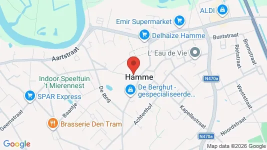 Commercial properties for sale i Hamme - kort over placeringen