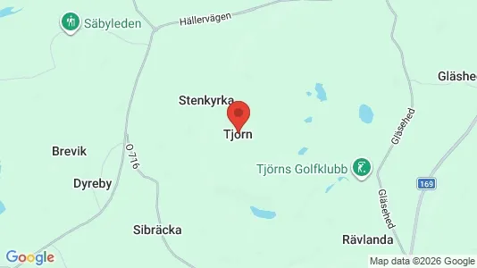 Winkels te huur i Tjörn - Foto uit Google Street View