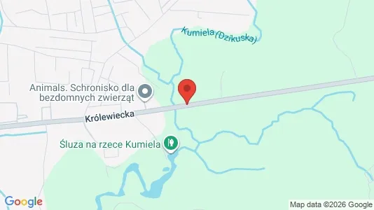 Lokaler til leje i Elbląg - kort over placeringen