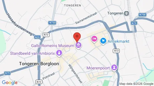 Commercial properties for sale i Tongeren - kort over placeringen