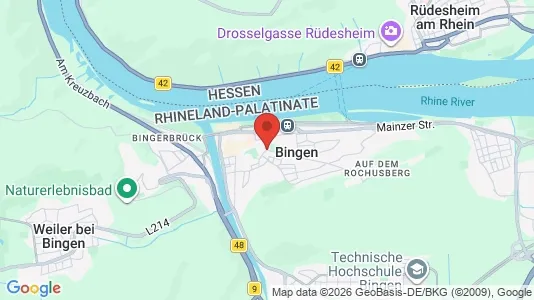 Industrial properties for rent i Mainz-Bingen - kort over placeringen
