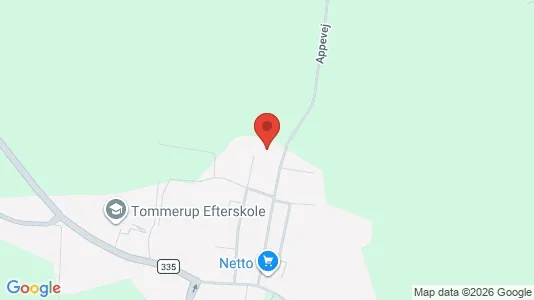 Commercial properties for sale i Tommerup - Photo from Google Street View