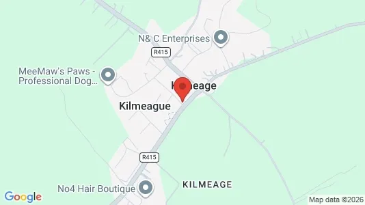 Nieruchomości komercyjne Do wynajęcia i Kildare - kort over placeringen